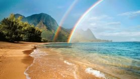 5 Best Things to Do In Hawaii