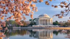 Best Places To Visit In Washington DC