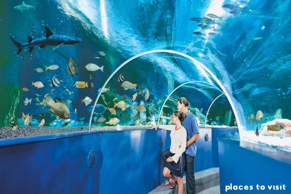 Visit blue reef aquarium in Newquay - things to do in Newquay