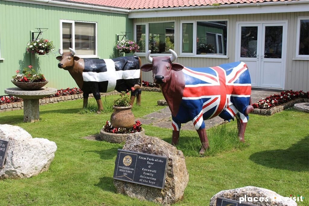 Visit dairyfarm world in  - things to do in Newquay