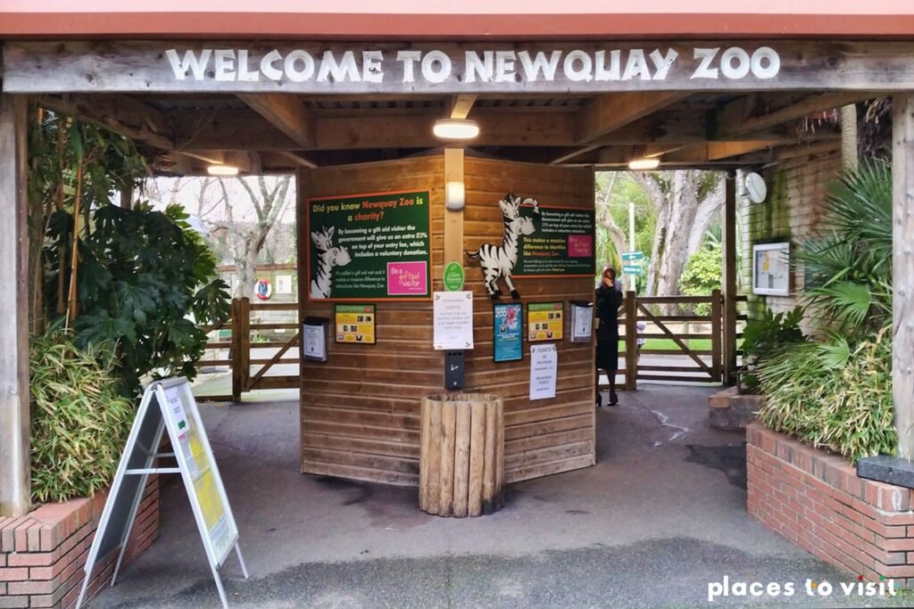 Visit zoo in Newquay - things to do in Newquay