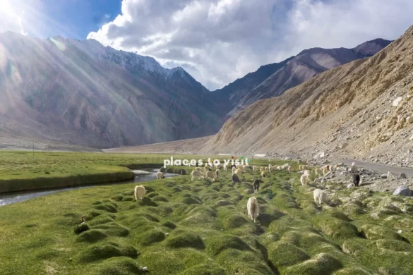 Ladakh Escapades