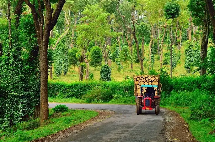 Unveiling India's Top 5 Eco-Friendly Destinations on World Environment Day