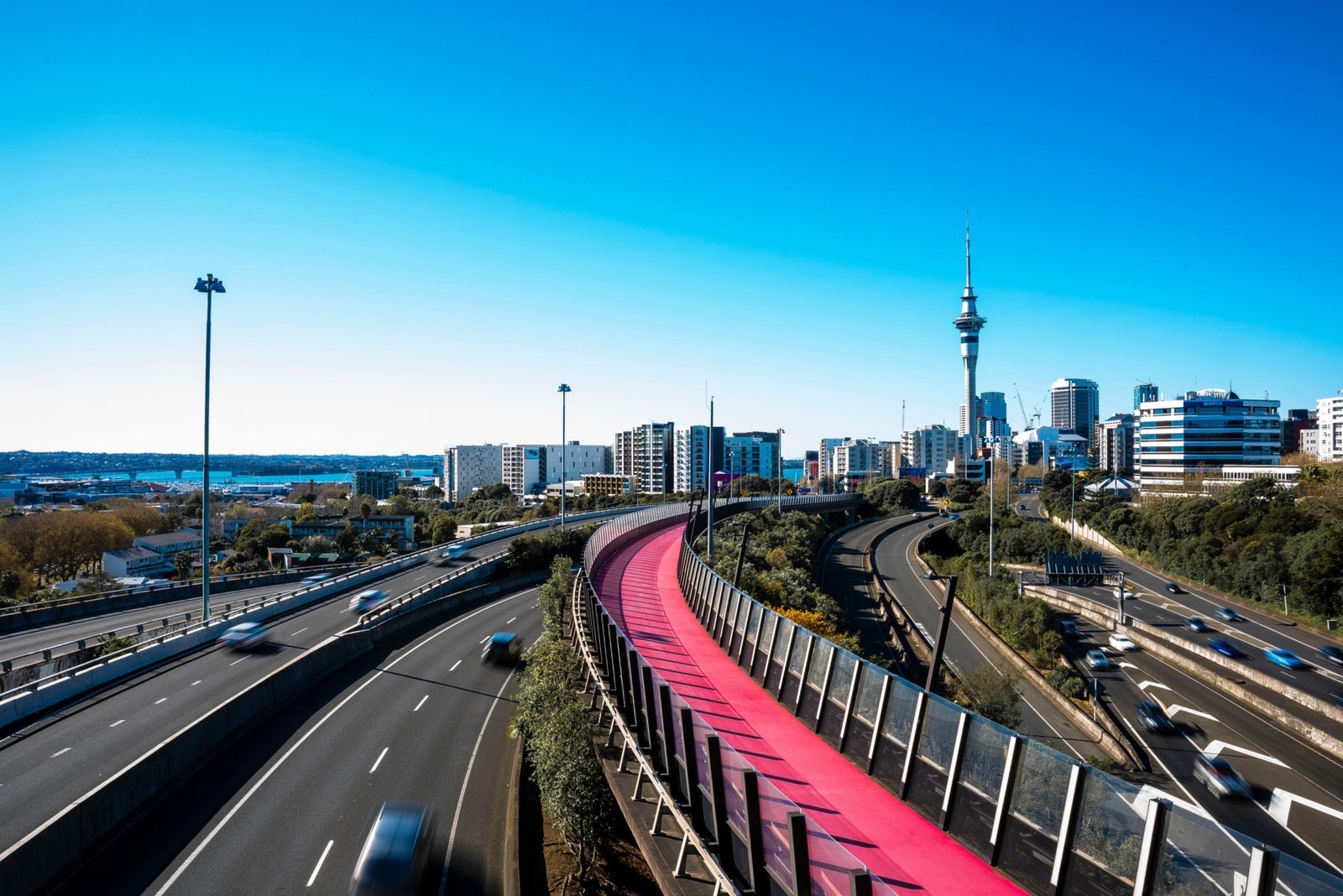 Things to do in Auckland, NZ
