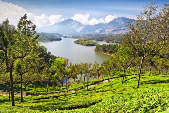 Things to do in Munnar
